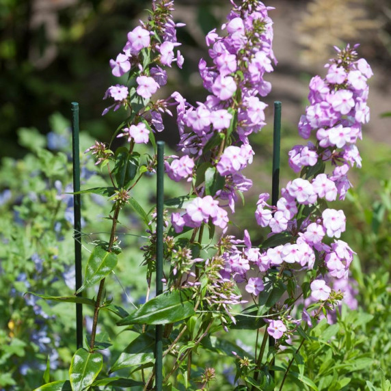 GARDEN LINE Növénytámasz, növényfuttató karó 16 mm 180 cm - 1 darab