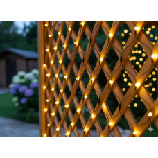 Ghirlandă luminoasă de Crăciun 2x2 m, 256 LED-uri – alb cald - 