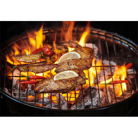 Vrtni žar na oglje 46 × 44 × 71 cm – BBQ MEETING