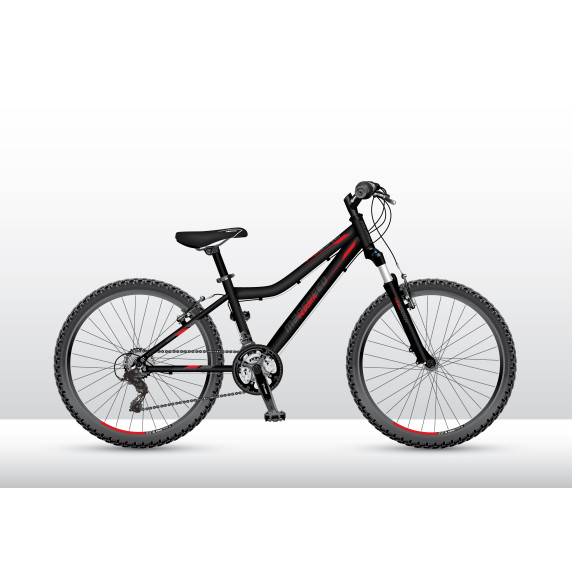 VEDORA dievčenský bicykel MadSpeed 200 24" 2019