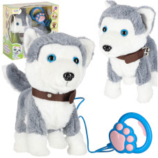Jucărie interactivă cățeluș cu lesă Inlea4Fun INTERACTIV PUPPY – Husky - 