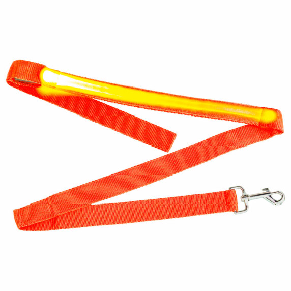 LED világító kutyapóráz 2.5x120cm Inlea4Home - Narancssárga