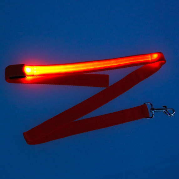 LED világító kutyapóráz 2.5x120cm Inlea4Home - Narancssárga