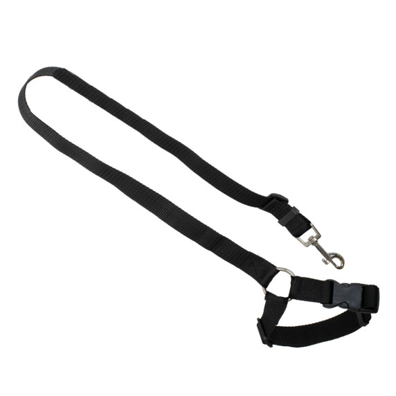Autós biztonsági öv kutyának 45-80 cm