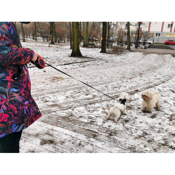Lase retractabilă pentru câini 5 m - Roșu