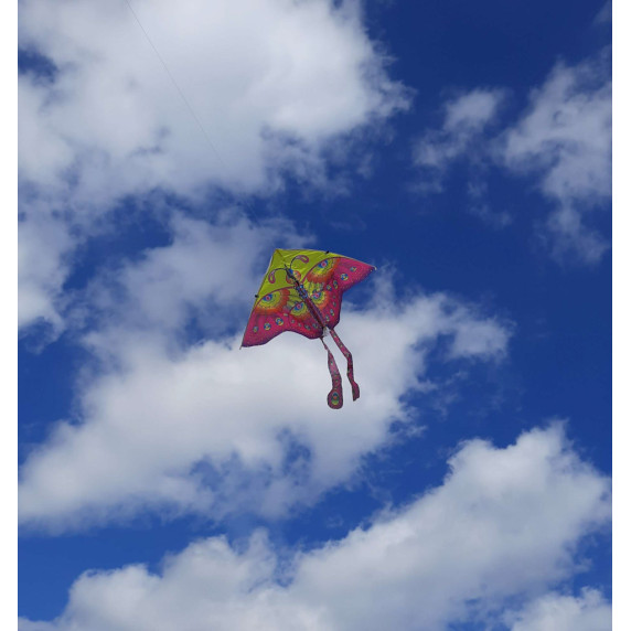 Zmeu mare 90 cm – model fluture mov