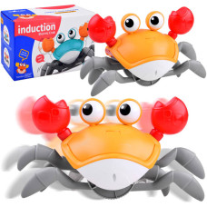 Crab  interactiv -  Inlea4Fun - 