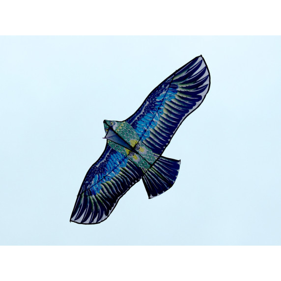 Lietajúci drak v tvare orla 190 cm Inlea4Fun BIRD EAGLE
