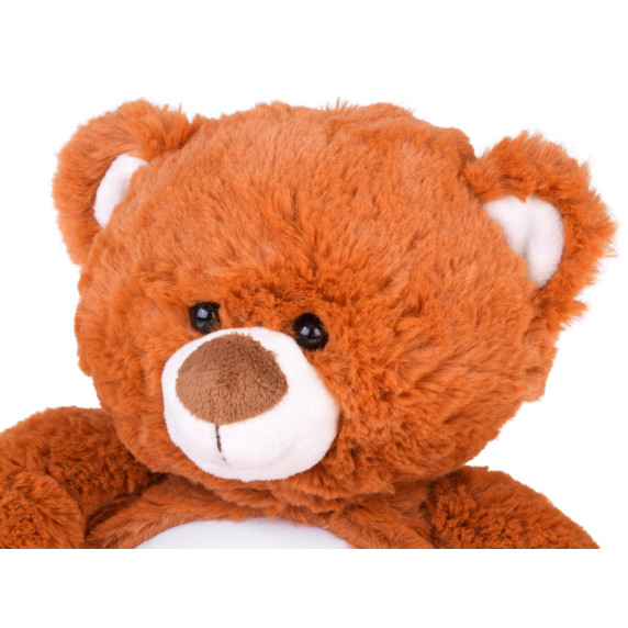 Plyšový hnedý medvedík s hviezdnym projektorom a melódiou BABY DOLL