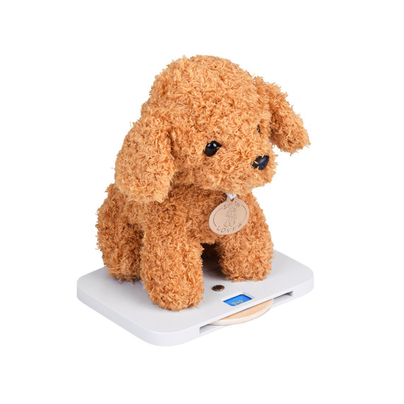 Fa állatorvosi klinika plüsskutyával és kiegészítőkkel Inlea4Fun PET CARE CLINIC