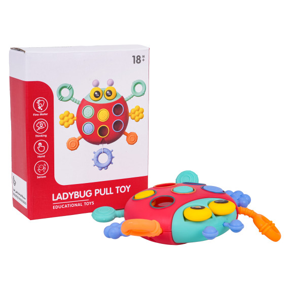 Jucărie senzorială multifuncțională în formă de buburuză – LADYBUG PULL TOY