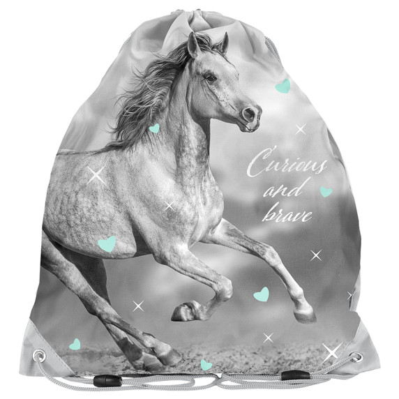 Vak na telocvik 38 x 34 cm PASO Horse +