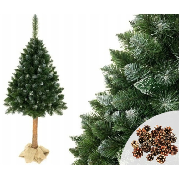 Zasnežený vianočný stromček s kmeňom a šiškami 160 cm DIAMOND PINE 3D