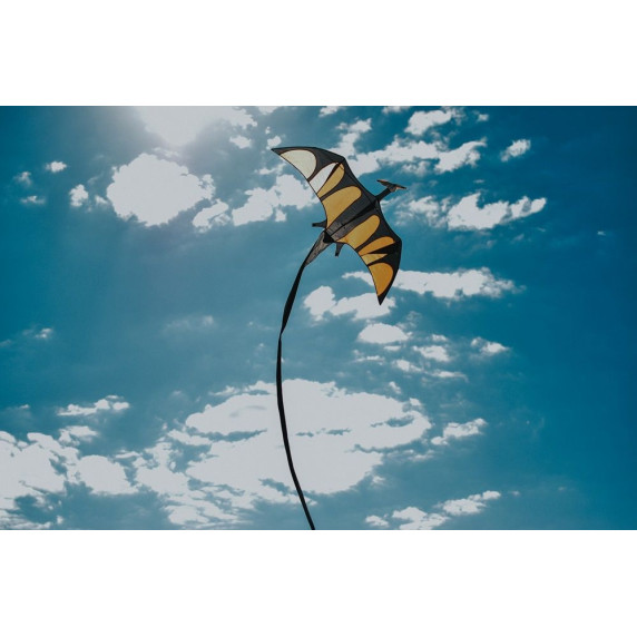 Lietajúci drak IMEX Dragon Kite - drak