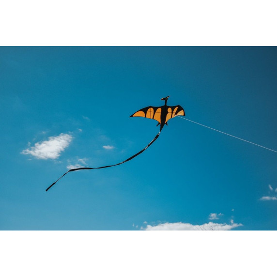 Lietajúci drak IMEX Dragon Kite - drak