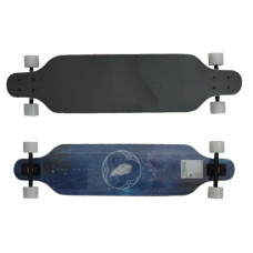 Skateboard - Longboard MASTER 41" - feather - 