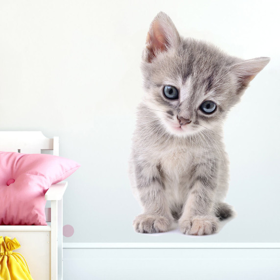 Falmatrica KITTEN 94x61 cm - Cicás L