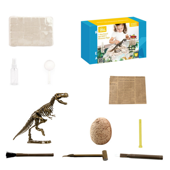 Set  paleontolog - T-Rex - Aga4Kids MR1445