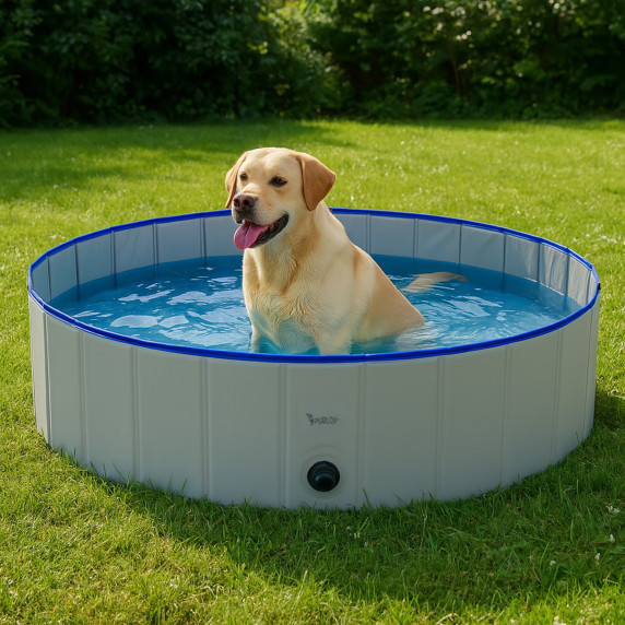 Piscină pentru câini Aga 120x30 cm - 23831