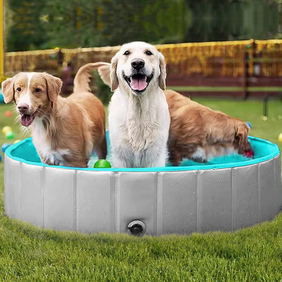 Piscină pentru câini 100x30 cm -  AGA L82A