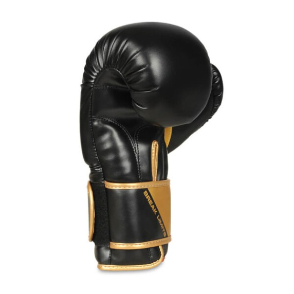 B-2v10 14oz. boxerské rukavice DBX BUSHIDO