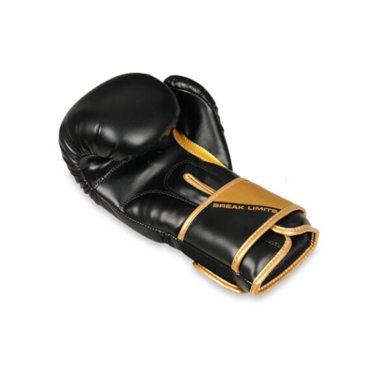 B-2v10 14oz. boxerské rukavice DBX BUSHIDO