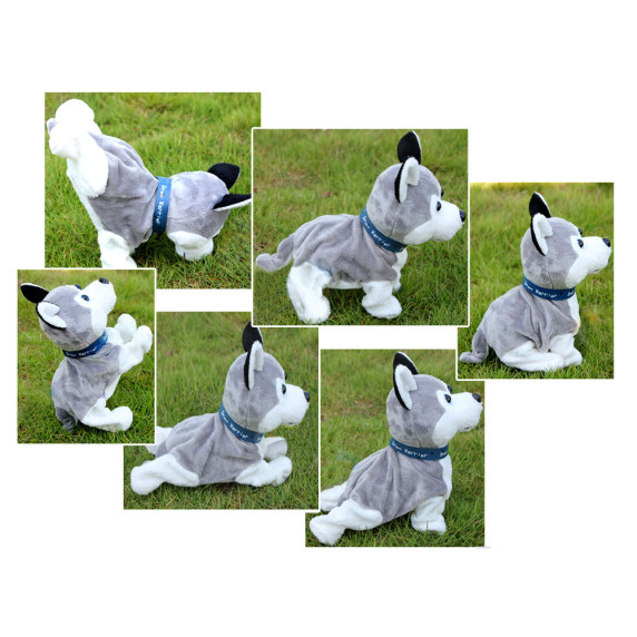 Câine interactiv - Husky - Inlea4Fun