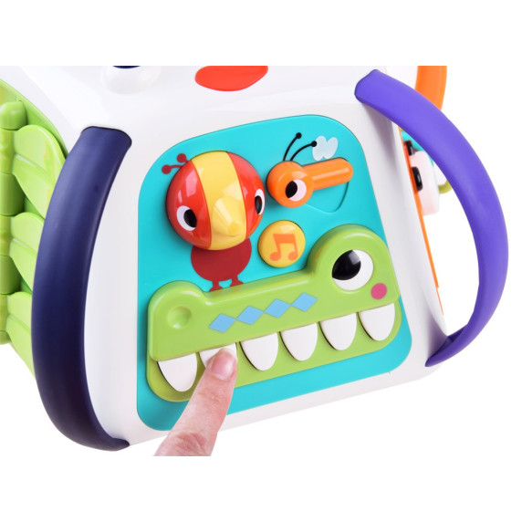 Joc interactiv multifuncțional de dezvoltare Hola