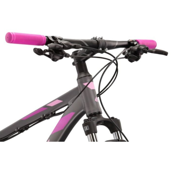 Bicicletă de munte femei - LEA 5.0 DXS 16 "2022 KROSS MTB WOMAN - grafit mat / roz / violet