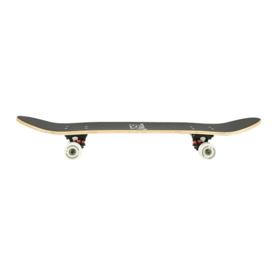 Skateboard NILS Extreme CR3108 Camper