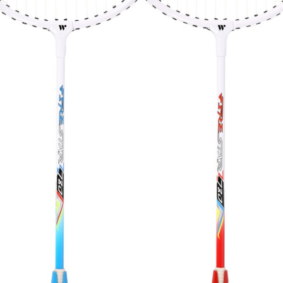 Rachetă badminton - 2 buc - WISH Alumtec 780K